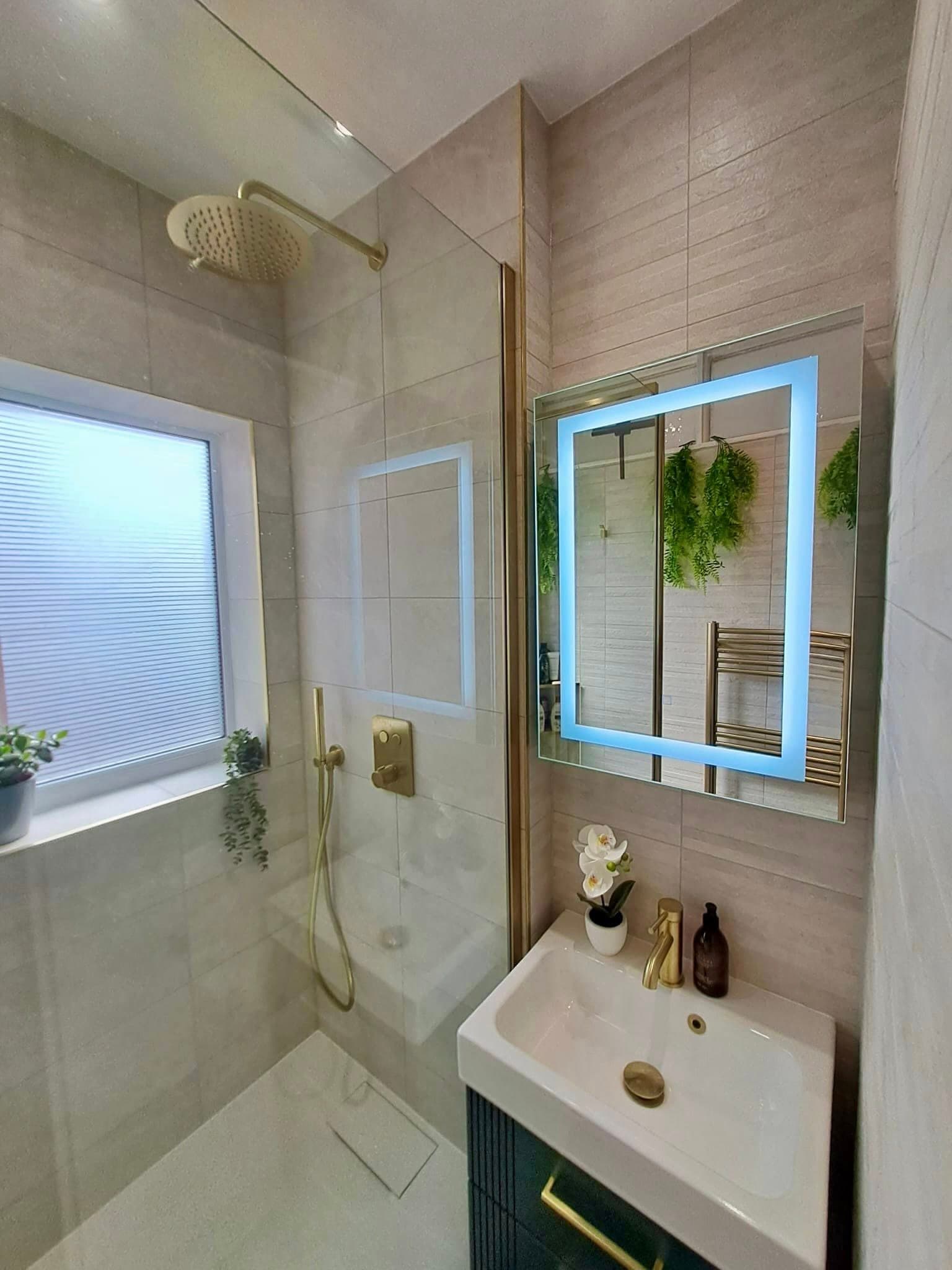 Modern walk-in shower enclosure